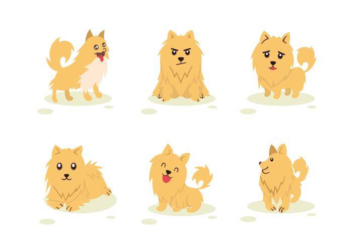 Pomeranian狗字符姿势矢量