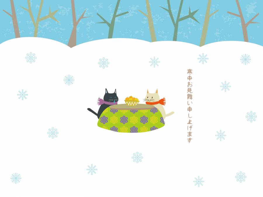 小柴猫的感冒药
