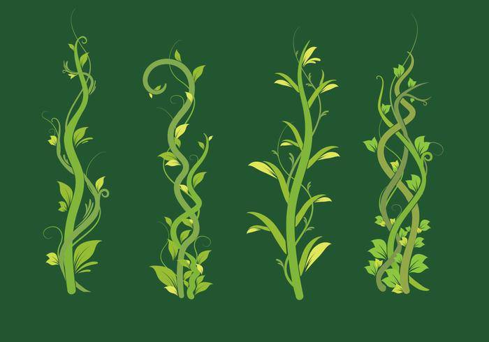 藤本植物绿叶矢量包