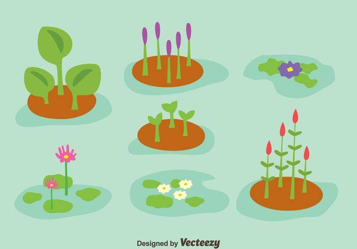 沼泽植物集合矢量