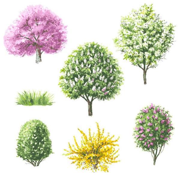 水彩花草大树