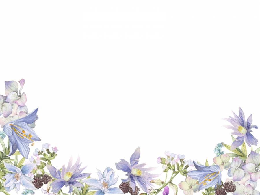 花框架140  - 蓝色的花和浆果花框架