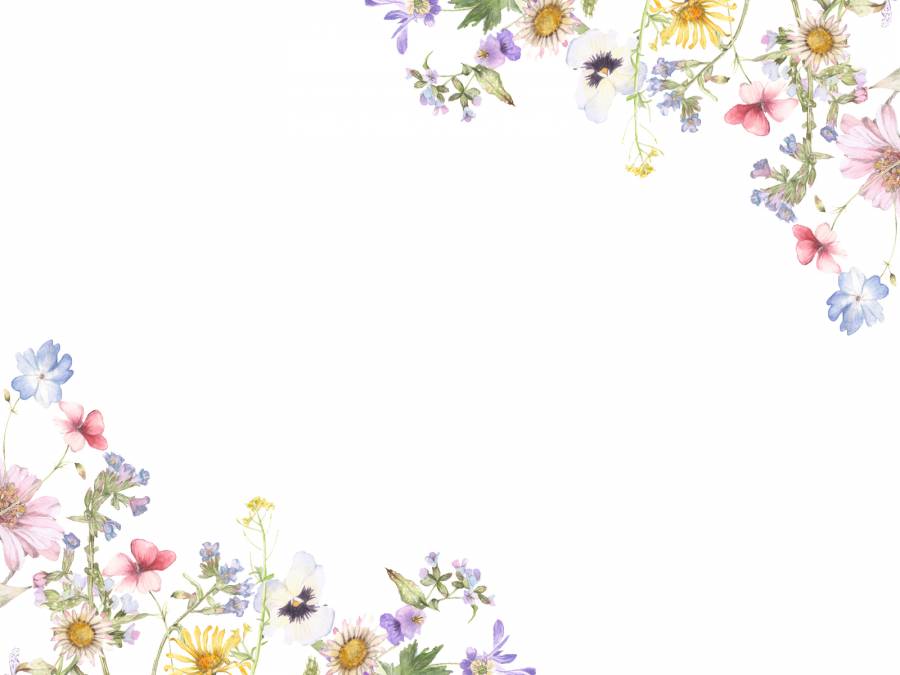 花框架147  - 在花园里的小花的花框架