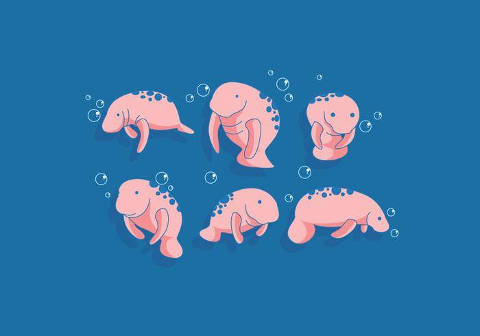海牛矢量