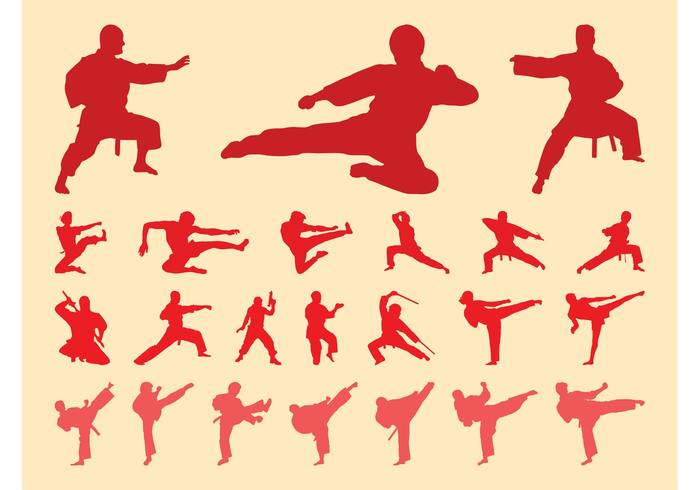 武术剪影集