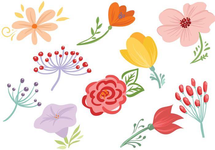 免费鲜花载体