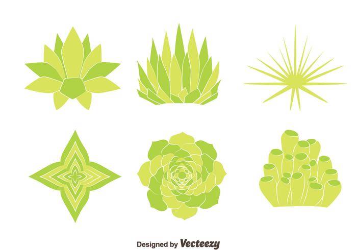 温室植物矢量