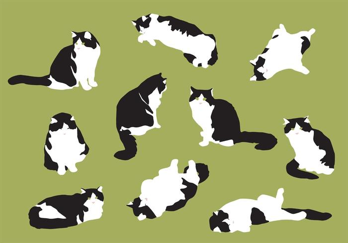 手绘肥猫矢量