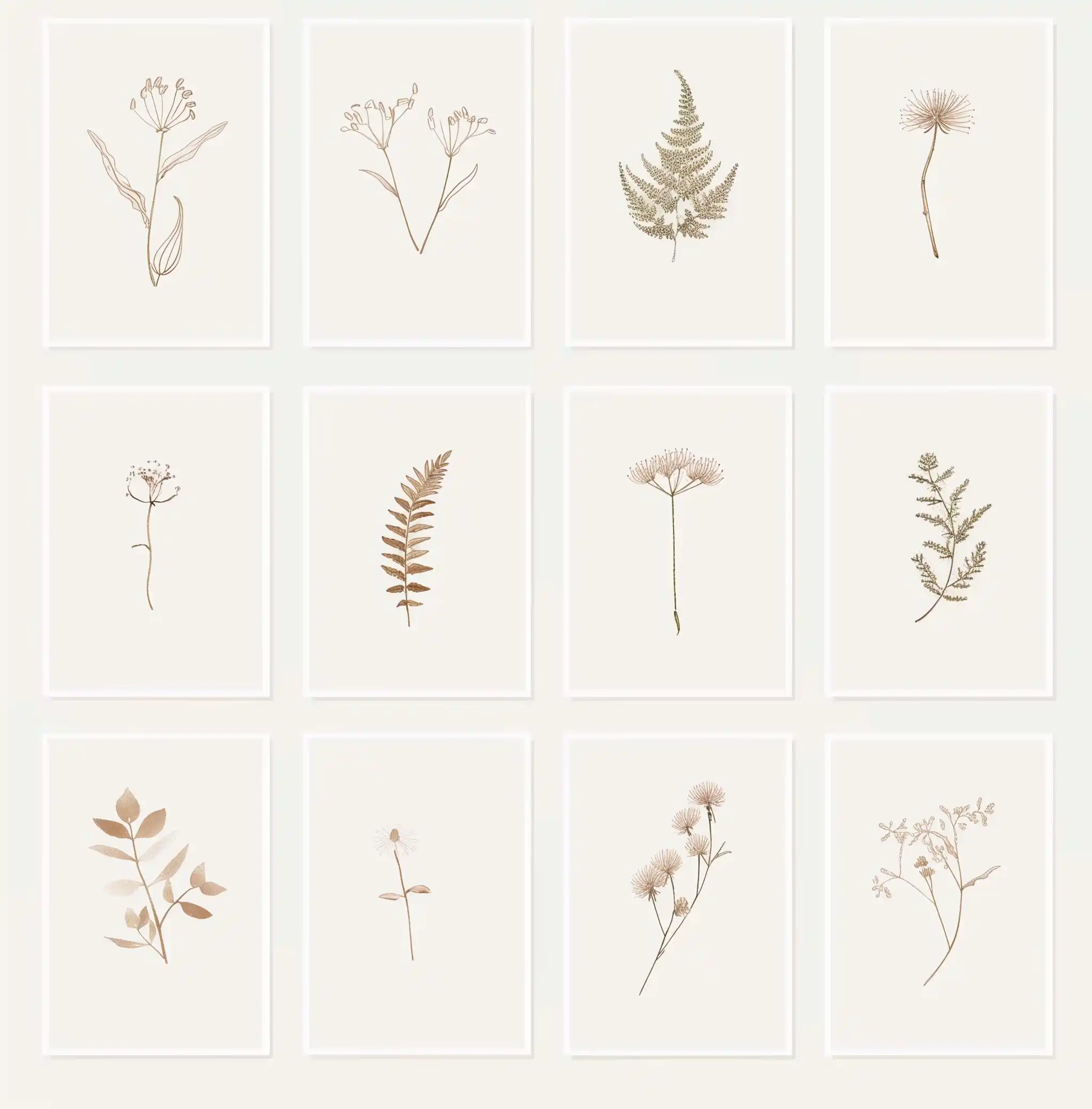 Minimalist Wildflower Cards Midjourney提示词