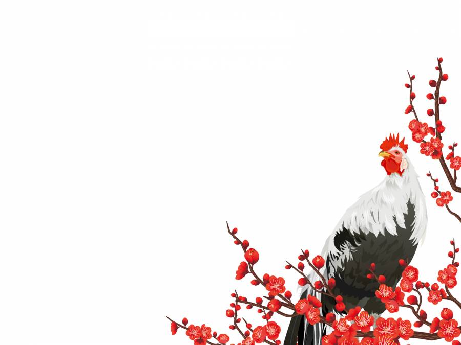 鸡年的鸡和扇贝梅梅