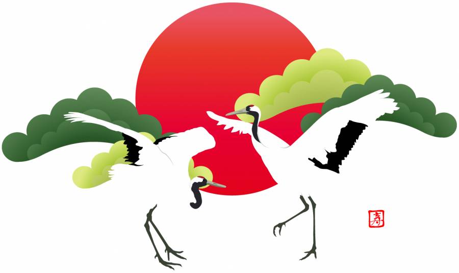 丹顶鹤2