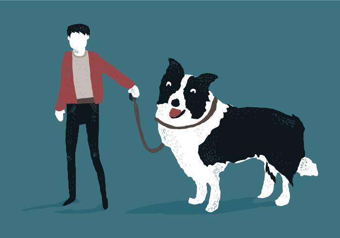 有博德牧羊犬传染媒介例证的人