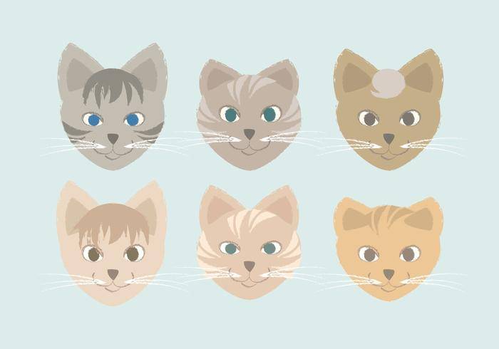 矢量手绘猫