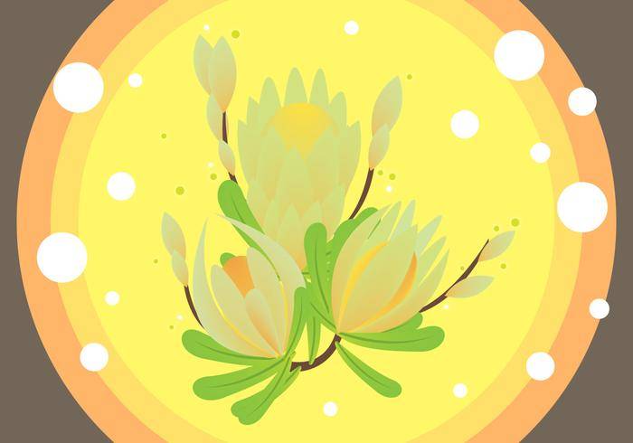 免费的普罗蒂亚插画矢量