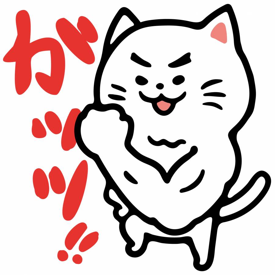 胆量猫