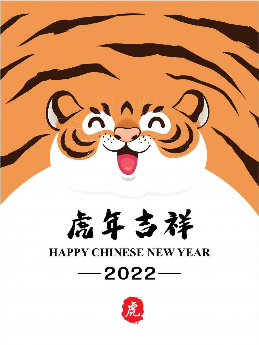 26款精选虎年矢量素材2022不同画风的虎年素材