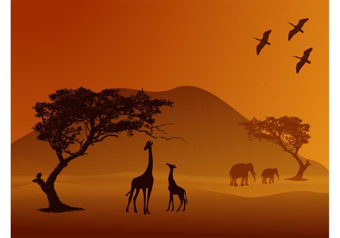 Safari矢量