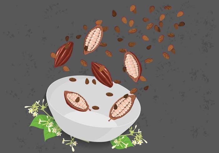免费的可可豆插图