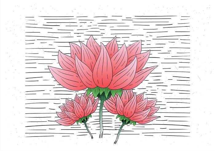 免费手绘矢量花卉插画