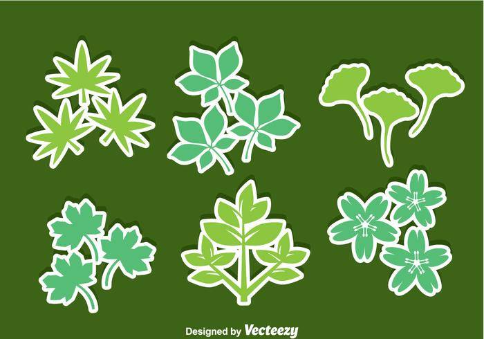 草药叶子图标矢量