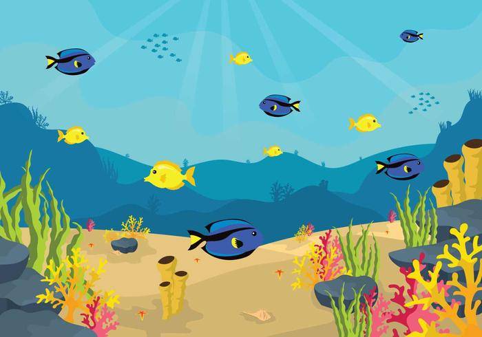 免费的海底插图