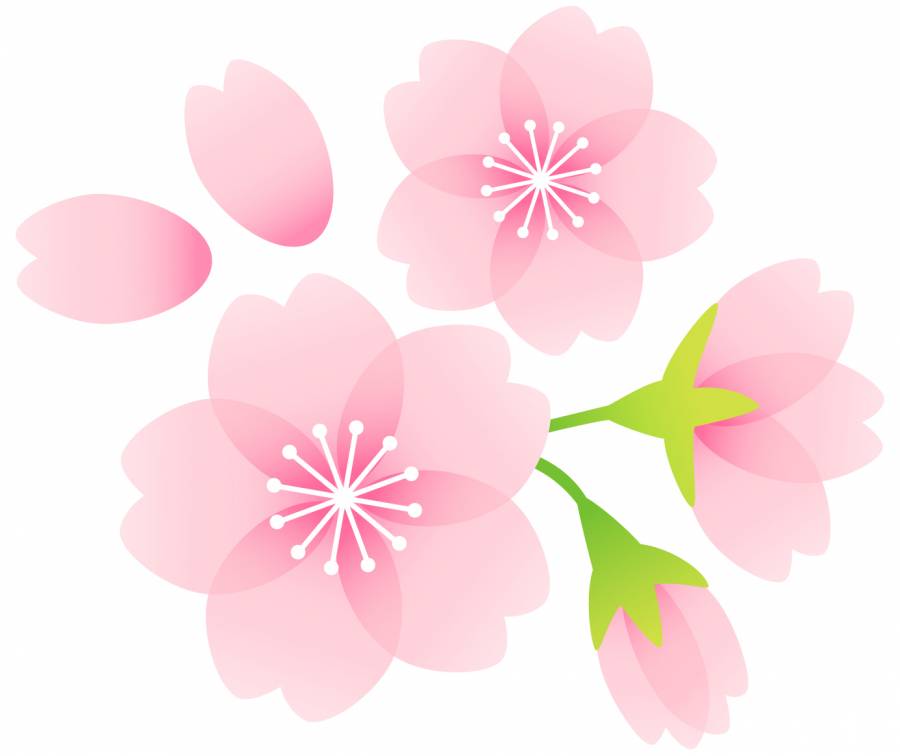 樱花07