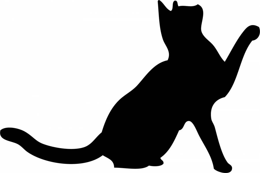 猫的剪影（Scrounge）