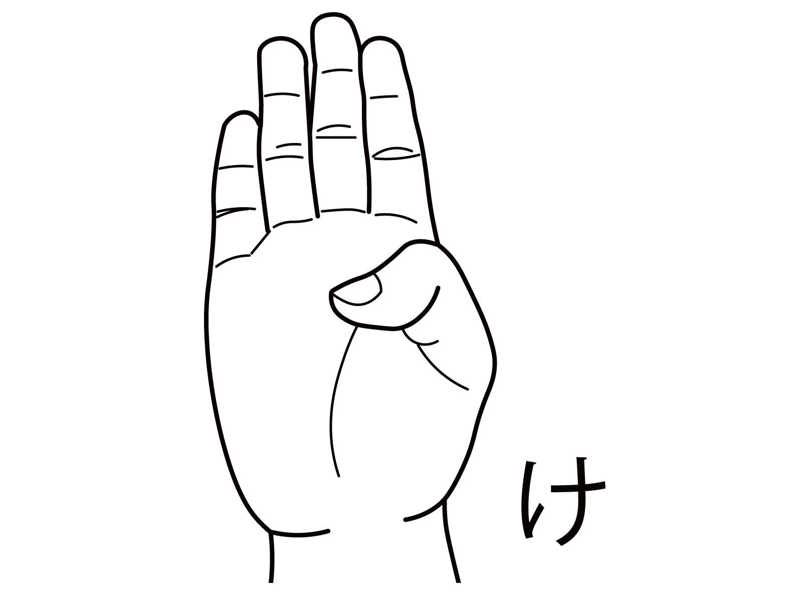 手语taku
