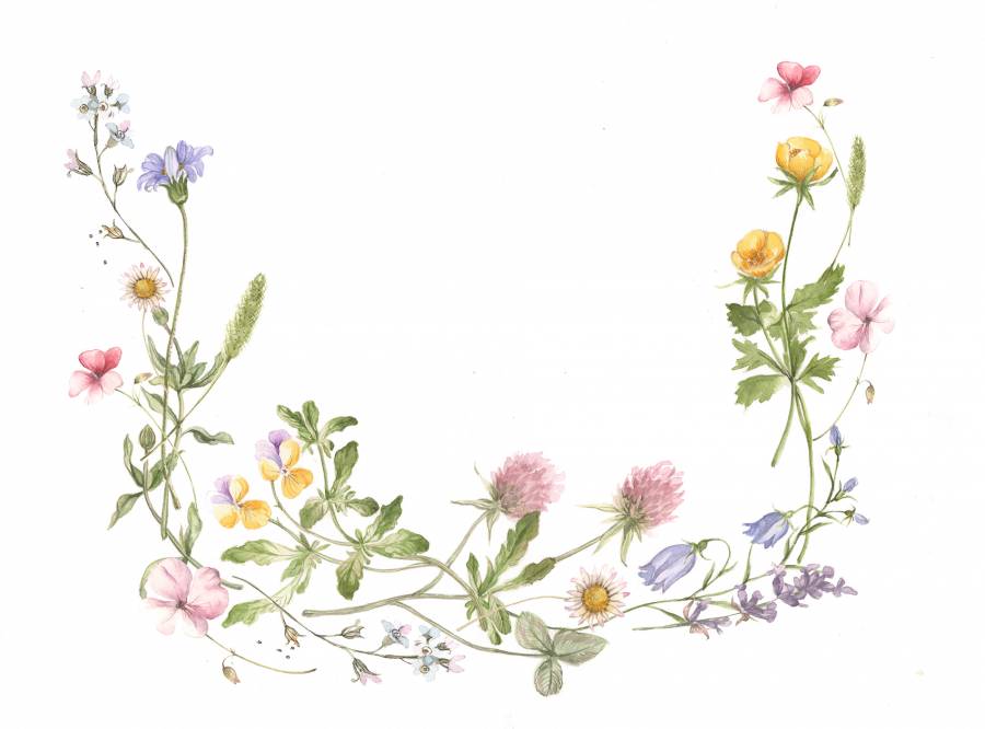 花标题