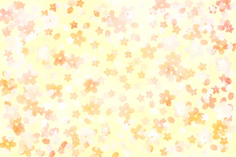 SakuraFubuki
