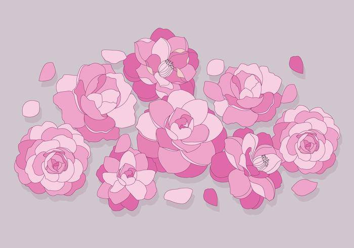 山茶花花矢量
