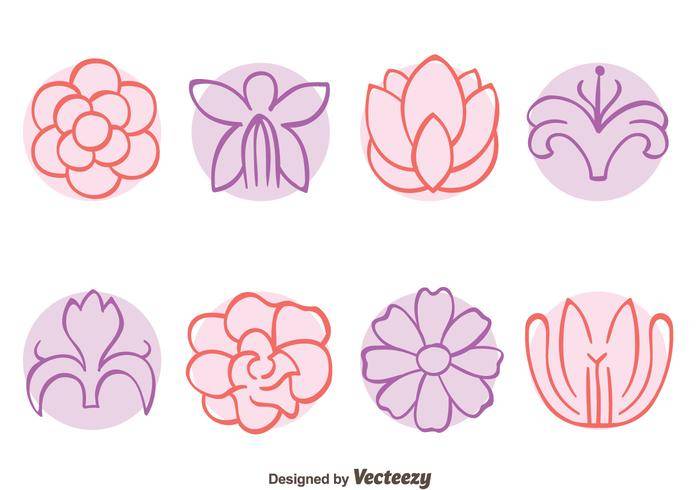 素描花卉集合载体