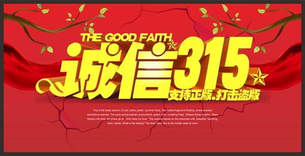 315打击盗版