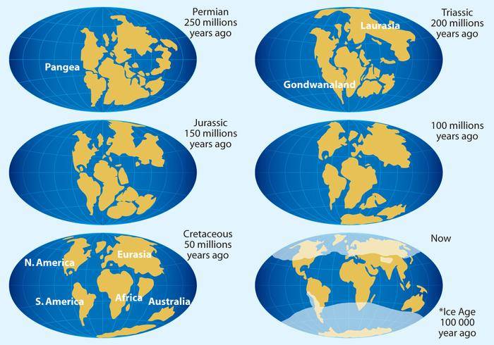 大陆漂移矢量地图