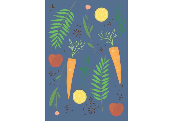 食物矢量模式