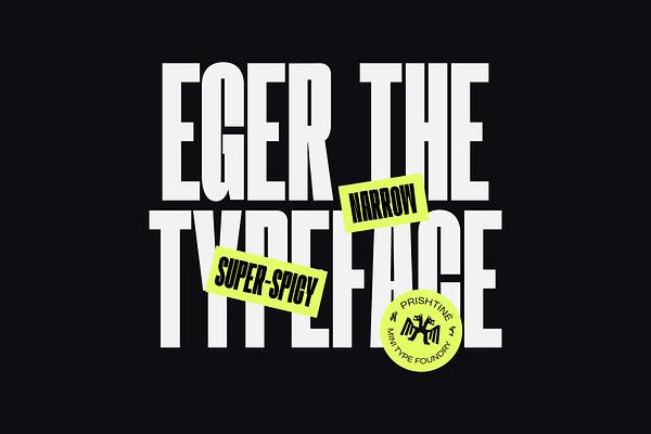 Eger 1.0 - Display Type