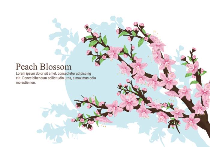 桃花矢量图