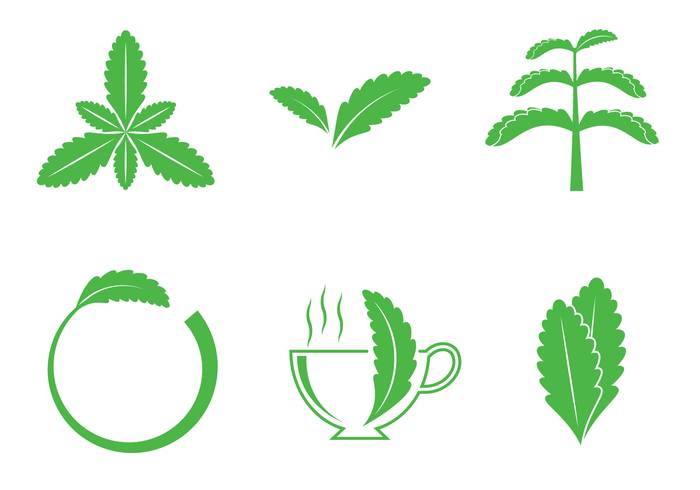 甜叶菊标志传染媒介