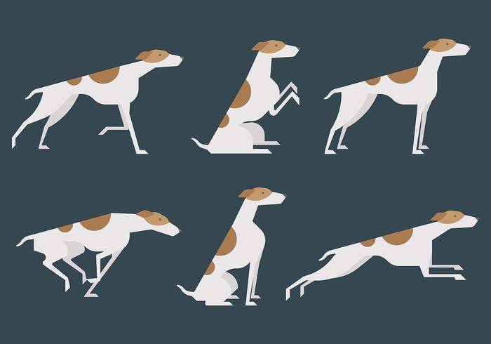 Whippet矢量图标