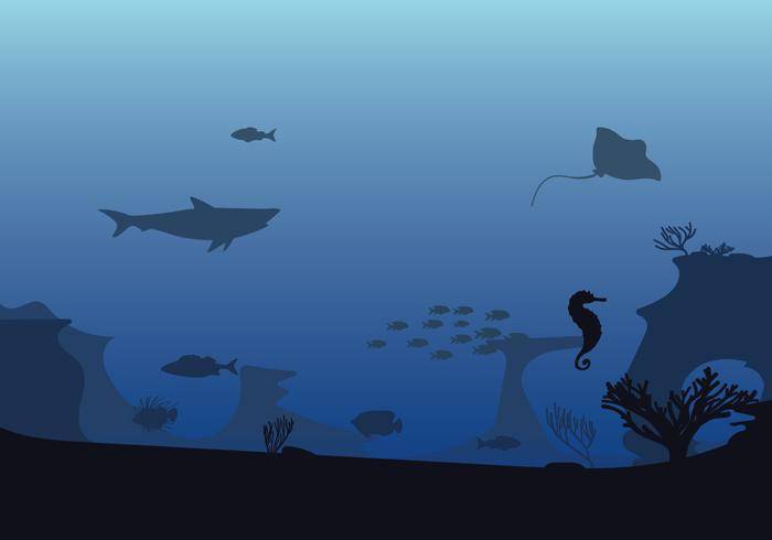 免费的海底插图