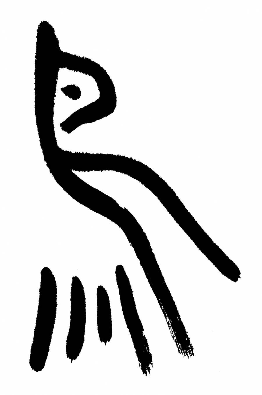 鸟