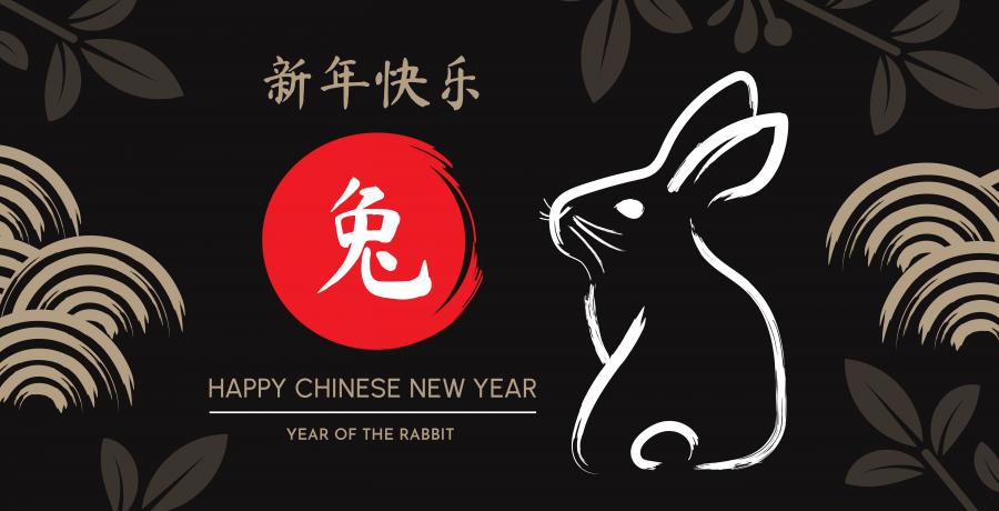 6款兔子兔年2023年春节新春背景EPS格式