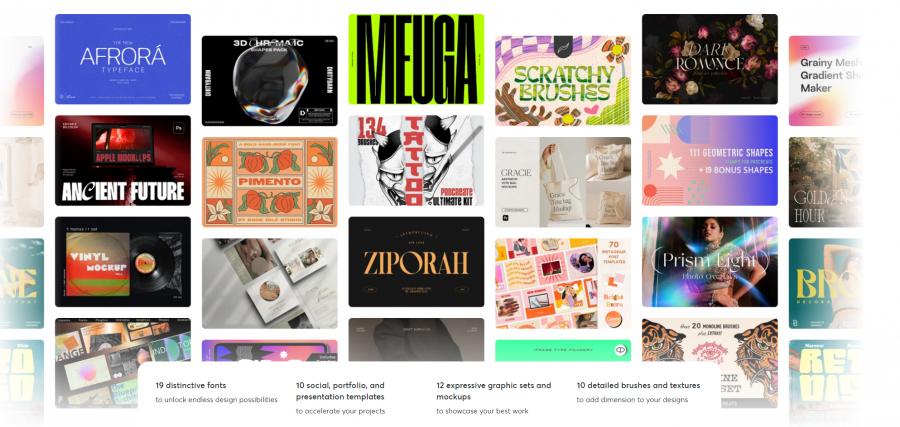 2023年的11月creativemarket.com网站分享价值高达 1000 美元的素材资源打包下载