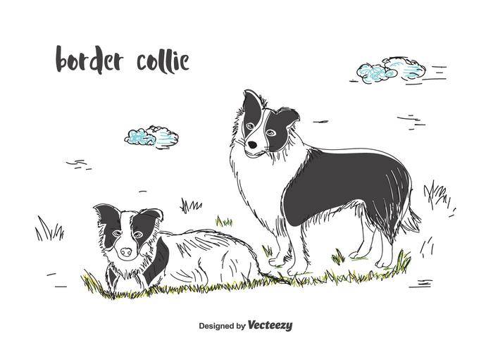 边境牧羊犬矢量