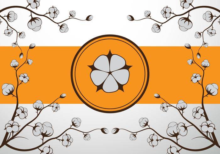 棉花花矢量图
