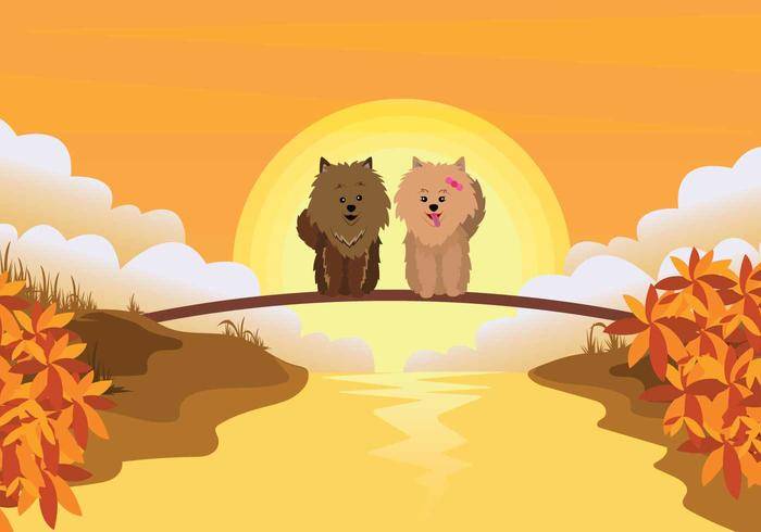 免费博美犬图