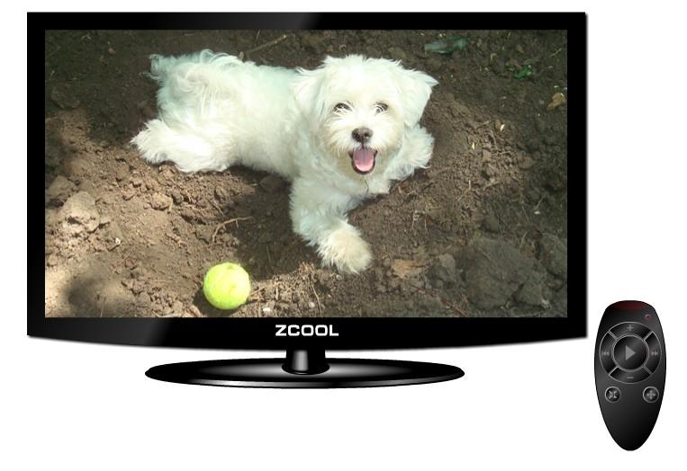 Flash&nbsp;TV&nbsp;源文件