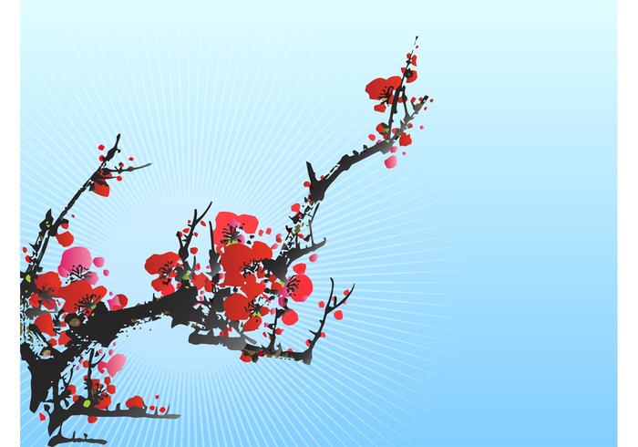 开花的李子树
