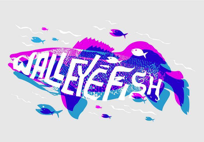 免费Walleye矢量图