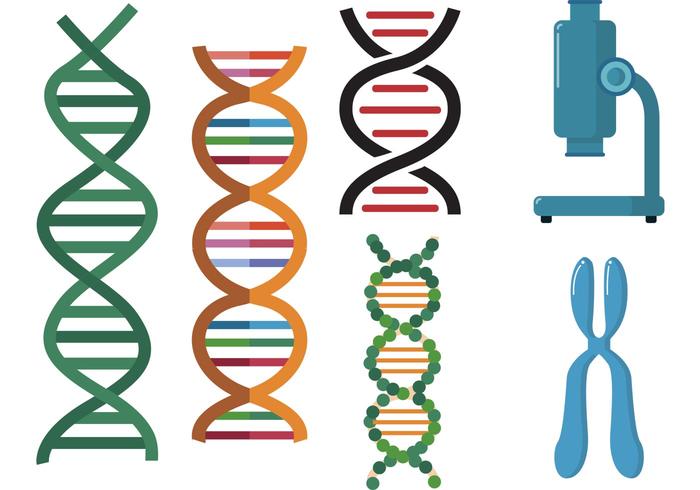 双螺旋科学向量组
